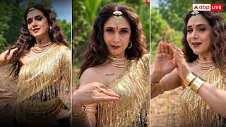 Meenakshi Recreates Nagin Song: 'नागिन' वाले सुनहरे दौर में लौटीं मीनाक्षी शेषाद्रि, रिक्रिएट किया 'नाचे नागिन गली गली' का आइकॉनिक गाना
