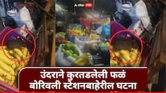 धक्कादायक! उंदराने कुरतडलेली फळं ग्राहकांना विकली, बोरिवली स्टेशन बाहेरील फळविक्रेत्याचा व्हिडीओ व्हायरल