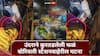 Mumbai : धक्कादायक! उंदराने कुरतडलेली फळं ग्राहकांना विकली, बोरिवली स्टेशन बाहेरील फळविक्रेत्याचा व्हिडीओ व्हायरल