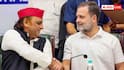 CJP प्रदर्शनकारियों पर बरसी लाठियां तो पिघला अखिलेश यादव का दिल, राहुल गांधी से दो बार मिले, क्या है प्लान?