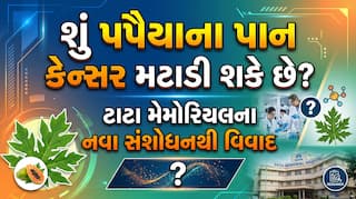 શું પપૈયાના પાન કેન્સર મટાડી શકે છે? ટાટા મેમોરિયલના નવા સંશોધનથી વિવાદ