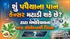 શું પપૈયાના પાન કેન્સર મટાડી શકે છે? ટાટા મેમોરિયલના નવા સંશોધનથી વિવાદ
