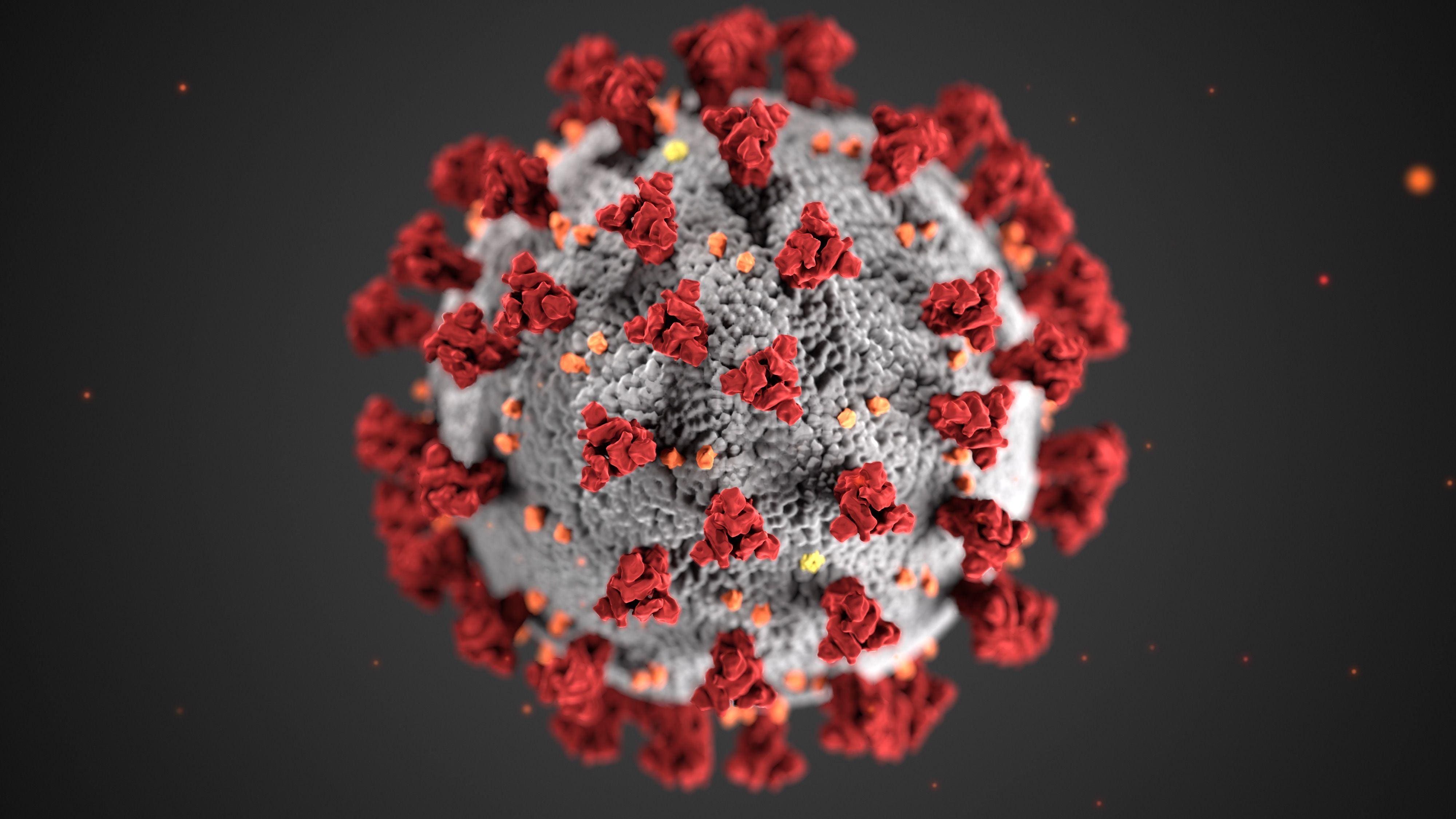 Omicron RF.5 Variant Detected In Four COVID-19 Patients In Andhra Pradesh: Know Symptoms, Risks