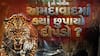 Hun To Bolish : હું તો બોલીશ : અમદાવાદમાં ક્યાં છુપાયો દીપડો ?