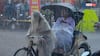 Bihar Weather: बिहार में अगले 48 घंटे सावधान रहें! इन इलाकों में आंधी-तूफान के साथ भारी बारिश का अलर्ट