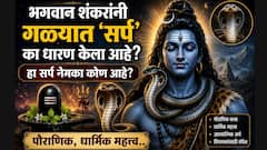 भगवान शंकरांनी गळ्यात 'सर्प' का धारण केला आहे? हा सर्प नेमका कोण आहे? पौराणिक, धार्मिक, आध्यात्मिक महत्त्व जाणून थक्क व्हाल..