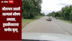 धक्कादायक! नीलगाय आडवी आल्यानं भीषण अपघात, दुचाकीस्वराचा जागीच मृत्यू, अपघाताची घटना कॅमेऱ्यात कैद 