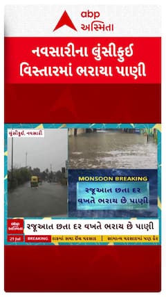 Navsari Rain : નવસારીના લુંસીકુઈ વિસ્તારમાં ભરાયા પાણી