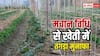 मानसून में मचान विधि से करें खेती, कम जगह में भी मिलेगा शानदार उत्पादन