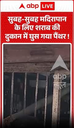 Viral Video: सुबह-सुबह मदिरापान के लिए शराब की दुकान में घुस गया पैंथर!