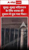 Viral Video: सुबह-सुबह मदिरापान के लिए शराब की दुकान में घुस गया पैंथर!