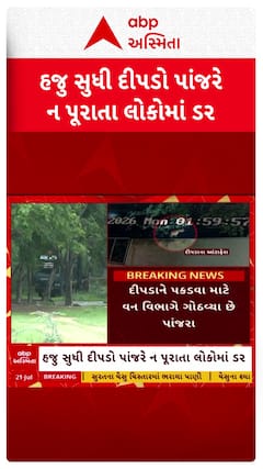 Ahmedabad Leopard : અમદાવાદમાં હજુ સુધી દીપડો ન પકડાતા લોકોમાં ભયનો માહોલ