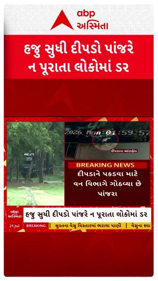 Ahmedabad Leopard : અમદાવાદમાં હજુ સુધી દીપડો ન પકડાતા લોકોમાં ભયનો માહોલ