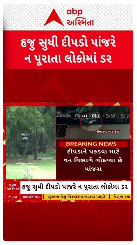 Ahmedabad Leopard : અમદાવાદમાં હજુ સુધી દીપડો ન પકડાતા લોકોમાં ભયનો માહોલ
