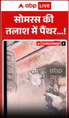 Viral Video: सोमरस की तलाश में पैंथर...