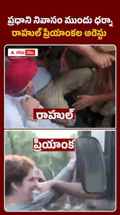ఢిల్లీలో హైటెన్షన్.. ప్రధాని నివాసం ముందు ధర్నా చేసిన రాహుల్