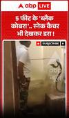 Viral Video: 5-Foot Black Cobra Leaves Snake Catcher Shocked!
