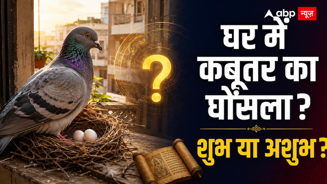 घर में कबूतर का आना और घोंसला बनाना: शुभ या अशुभ? जानिए नारद संहिता और वास्तु का सच