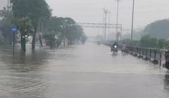 Surat Rain: સુરતમાં વહેલી સવારથી જ ધોધમાર વરસાદ, અનેક વિસ્તારોમાં ભરાયા પાણી, જનજીવન પ્રભાવિત