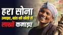 Bamboo Farming Profit: बांस की खेती में कितना मुनाफा, सरकार कितनी देती है मदद?