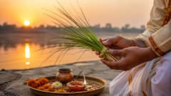 Kusha Grahani Amavasya 2026: Why Is Sacred Kusha Plucked Only Once A Year? Know Its Significance