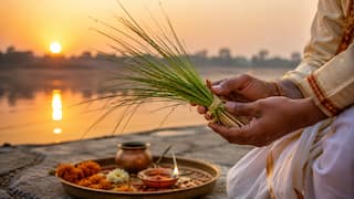 Kusha Grahani Amavasya 2026: Why Is Sacred Kusha Plucked Only Once A Year? Know Its Significance