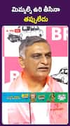 మిమ్మల్ని ఉరి తీసినా తప్పులేదు: హరీష్ రావు