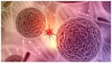 WHO Global Cancer Report 2026:ప్రతి ఐదుగురిలో ఒకరికి క్యాన్సర్‌ ముప్పు! ప్రపంచ ఆరోగ్య సంస్థ సంచలన రిపోర్ట్‌!