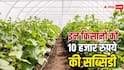 सब्जी की खेती में बढ़ेगी कमाई, इन किसानों को मिल रही 10 हजार रुपये की सब्सिडी, जानें प्रोसेस