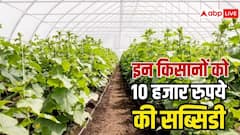 सब्जी की खेती में बढ़ेगी कमाई, इन किसानों को मिल रही 10 हजार रुपये की सब्सिडी, जानें प्रोसेस