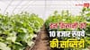 सब्जी की खेती में बढ़ेगी कमाई, इन किसानों को मिल रही 10 हजार रुपये की सब्सिडी, जानें प्रोसेस