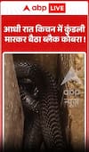 Viral Video: Black Cobra Found Coiled Inside Kitchen at Midnight!