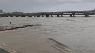 વલસાડ-નવસારીમાં મેઘરાજાની ધમાકેદાર બેટિંગ, પારડીમાં 8.19 ઈંચ વરસાદથી જળબંબાકાર