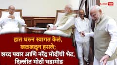 हात धरुन स्वागत केलं, खळखळून हसले; शरद पवार आणि नरेंद्र मोदींची भेट, दिल्लीत नेमकं काय घडलं?