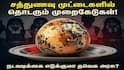 ஏழை மாணவர்களின் சத்துணவில் விளையாட்டா? முட்டையில் முறைகேடு.. தவெக அரசை அலர்ட் செய்யும் நயினார்