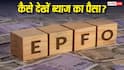 EPFO Passbook: पासबुक में नहीं दिख रहा ब्याज का पैसा? घबराएं नहीं, इन आसान तरीकों से करें चेक