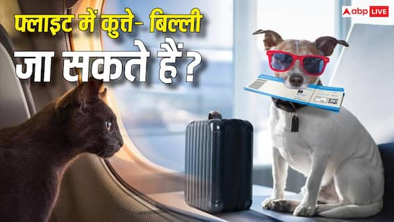 Flight Rules: फ्लाइट में कुत्ता-बिल्ली ले जा सकते हैं? जानिए क्या हैं नियम, किन दस्तावेजों की पड़ेगी जरूरत Flight Rules: फ्लाइट में कुत्ता-बिल्ली ले जा सकते हैं? जानिए क्या हैं नियम, किन दस्तावेजों की पड़ेगी जरूरत
