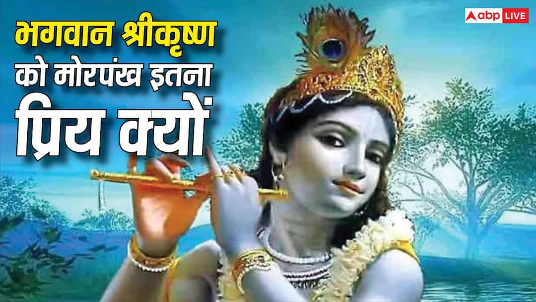Lord Krishna: भगवान श्रीकृष्ण हमेशा मुकुट में मोरपंख ही क्यों लगाते हैं? जानिए इसकी खास वजह