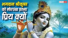 Lord Krishna: भगवान श्रीकृष्ण हमेशा मुकुट में मोरपंख ही क्यों लगाते हैं? जानिए इसकी खास वजह