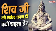 Lord Shiva : भगवान शिव को सफेद चंदन ही क्यों लगाया जाता है? जानें इसके पीछे का धार्मिक और आध्यात्मिक महत्व