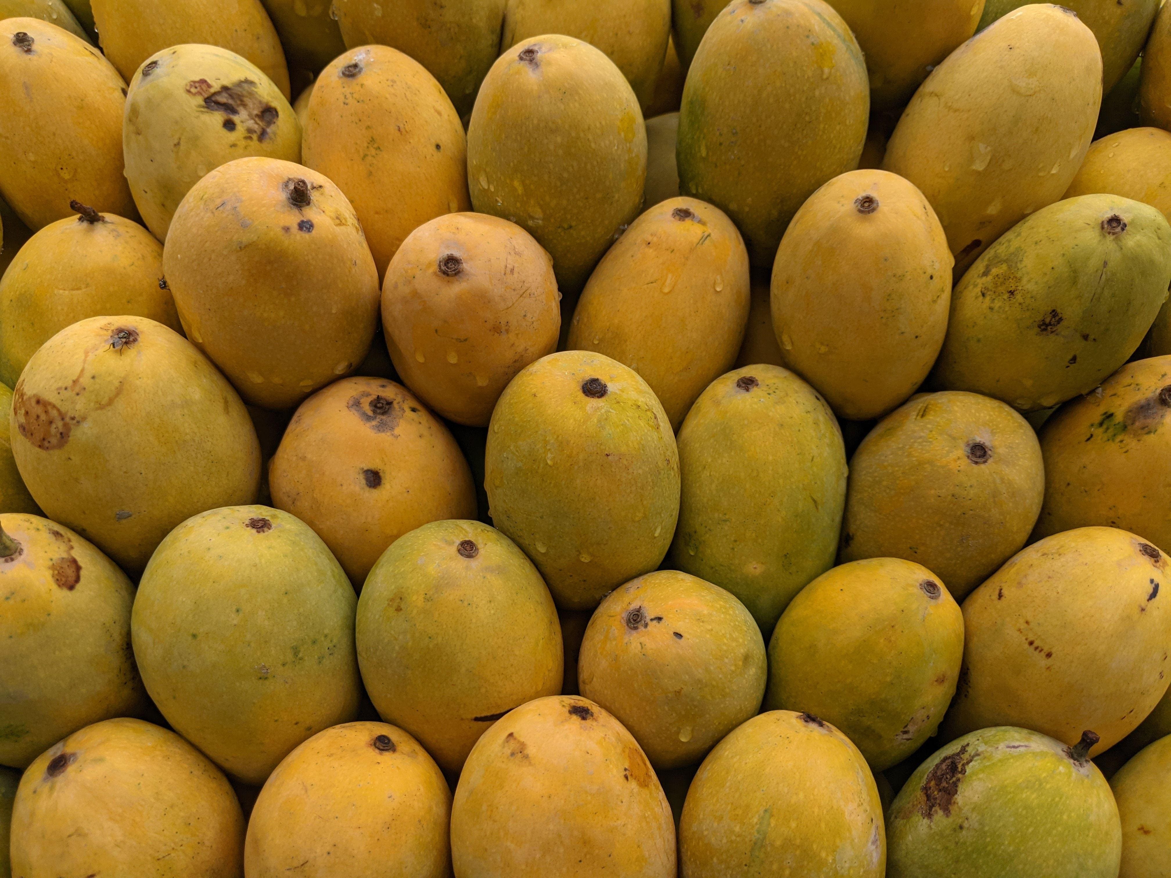Forget Lucknow And Patna, Explore India's Famous 'Mango City' This Summer