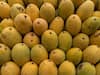 Forget Lucknow And Patna, Explore India's Famous 'Mango City' This Summer