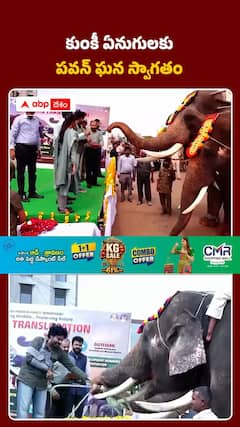 కుంకీ ఏనుగులకు పవన్ కల్యాణ్ ఘన స్వాగతం