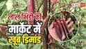 किसान हरी भिंडी की जगह अपनाएं लाल भिंडी की खेती, बाजार में है खास डिमांड