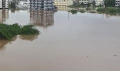 Flood Photos: નવસારીમાં 1968 જેવી પૂરની સ્થિતિ, જુઓ પૂર્ણા નદીના પૂર હોનારતની ભયાનક તસવીરો