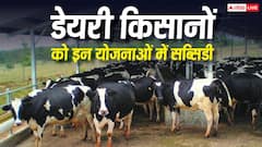 डेयरी किसानों को सबसे ज्यादा सब्सिडी देती हैं ये योजनाएं, जानें काम की बात
