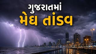 Gujarat Rain LIVE: રાજ્યના 16 જિલ્લાઓને આપવામાં આવ્યું રેડ એલર્ટ, નવસારીમાં બચાવ કાર્ય માટે સેના મેદાને