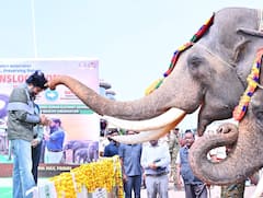 Kumki Elephants: పలమనేరు క్యాంపు నుంచి పార్వతీపురానికి కుంకీ ఏనుగులు తరలింపు.. పవన్ కళ్యాణ్ కృషి ఫలించేనా !