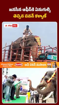 నేరుగా జనసేన ఆఫీస్‌కే కుంకీ ఏనుగులు.. పవన్ కళ్యాణ్ మాస్ వెల్కమ్!