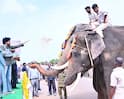 Kumki Elephants: పలమనేరు క్యాంపు నుంచి పార్వతీపురానికి కుంకీ ఏనుగులు తరలింపు.. పవన్ కళ్యాణ్ కృషి ఫలించేనా !